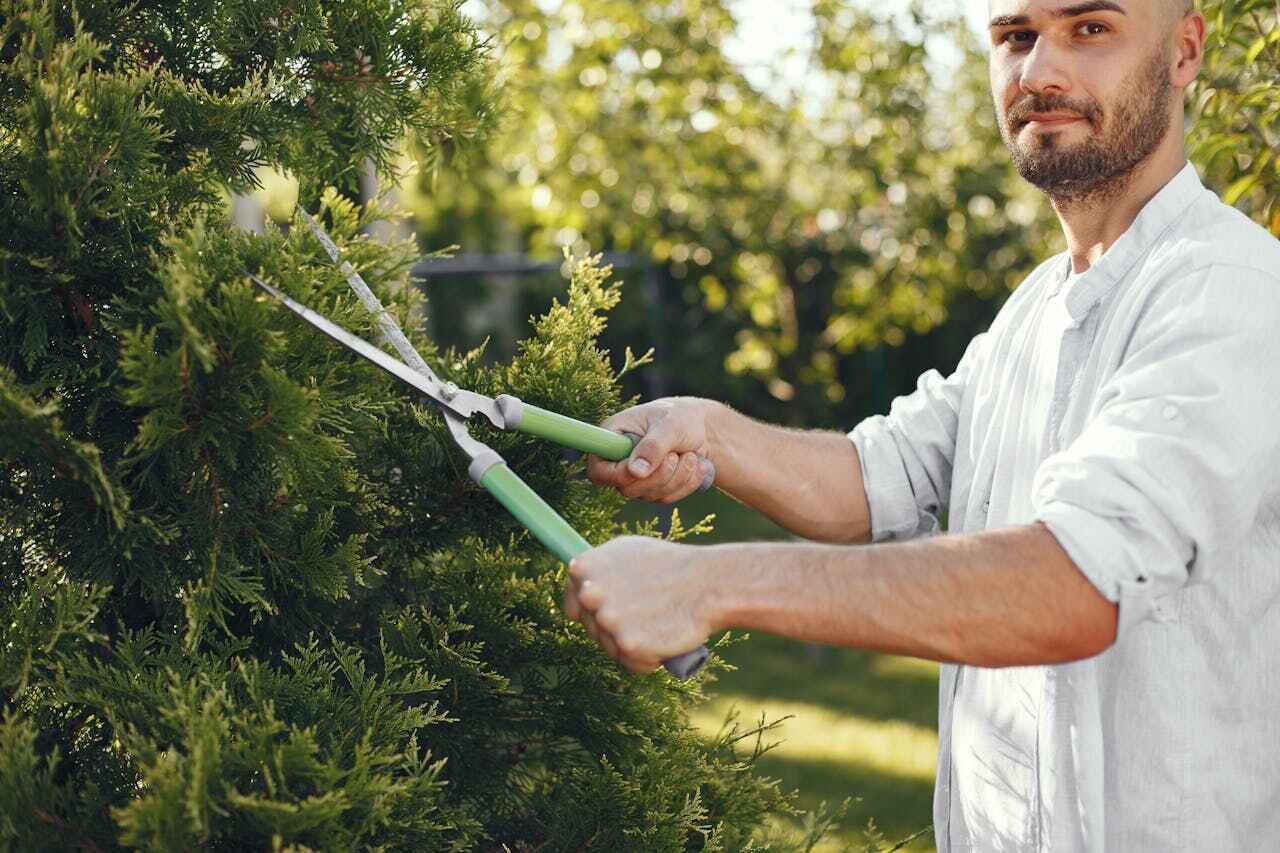 Best Tree Cutting Near Me  in Roosevelt Gardens, FL